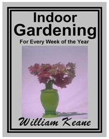 [MRR] Indoor Gardening [EN]
