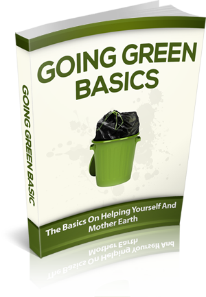 [MRR] Going green basics [EN]