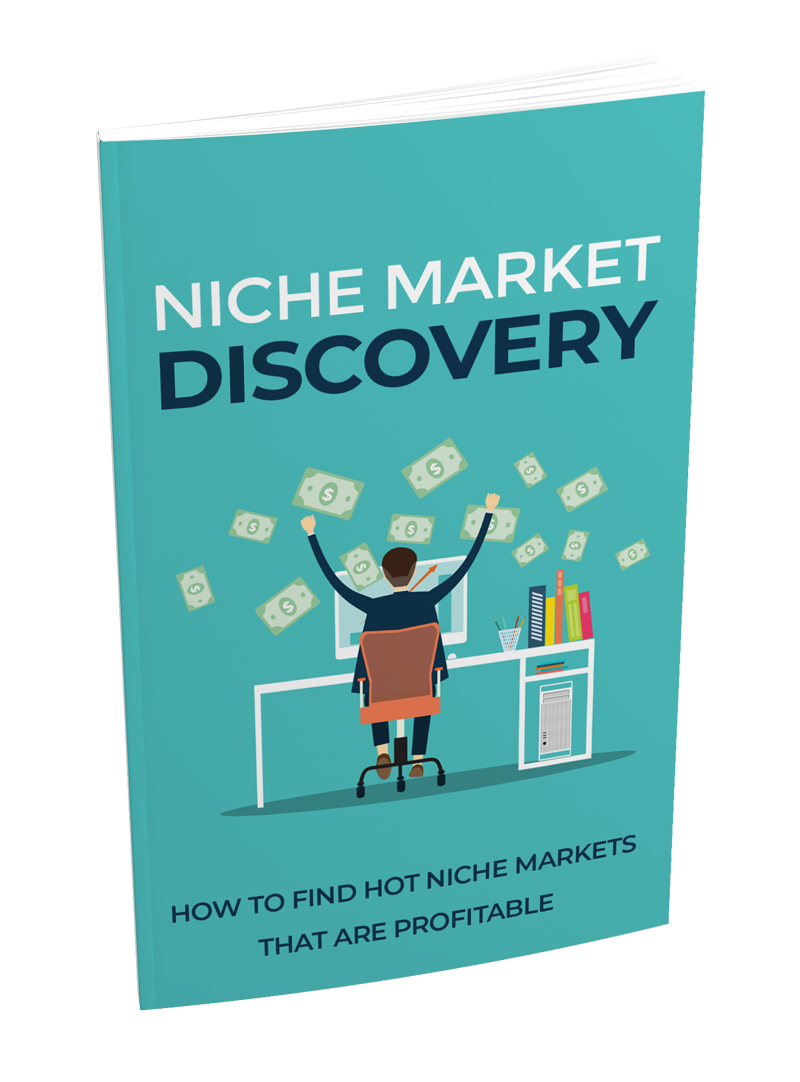 [MRR] Niche Market Discovery [EN]